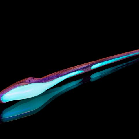 Glowing cherry twig magic wand UV shot